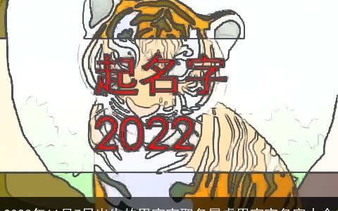 2024年11月7日出生的男宝宝取名属虎男宝宝名字大全