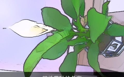 樊姓带叶的名字