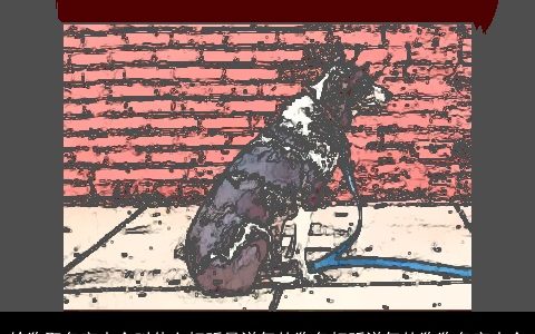 给狗取名字大全叫什么好听最洋气的狗名好听洋气的狗狗名字大全