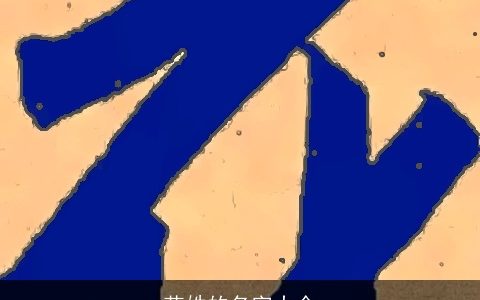 花姓的名字大全