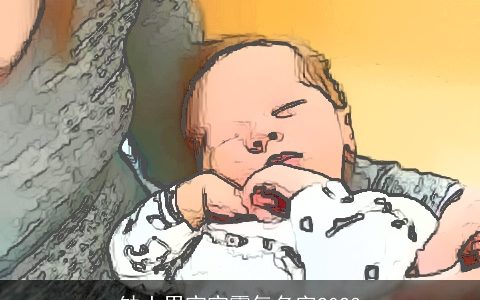 缺土男宝宝霸气名字2024