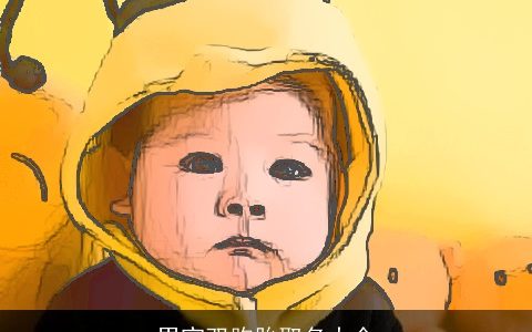 男宝双胞胎取名大全