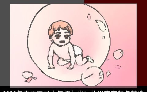 2024年农历正月大年初九出生的男宝宝起名精选