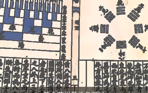 陈金莹周易姓名测试