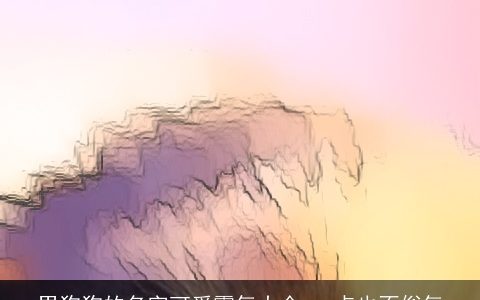 男狗狗的名字可爱霸气大全 一点也不俗气