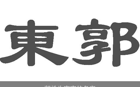 郭姓牛宝宝的名字
