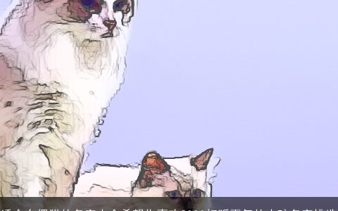 适合布偶猫的名字大全希望你喜欢2024好听霸气的小孩名字挑选