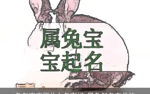 兔年宝宝取什么名字好 属兔起名有品位