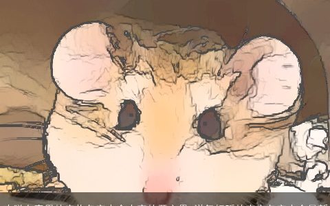 欢脱有意思的宠物名字大全大家的开心果 洋气好听的宝宝名字大全最新