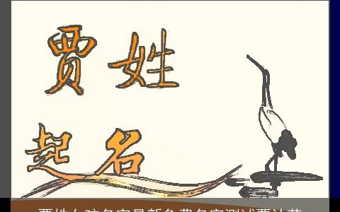 贾姓女孩名字最新免费名字测试贾沐菡