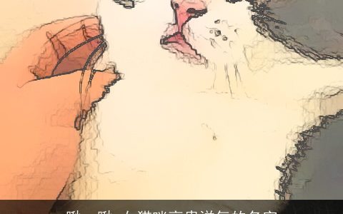 瞅一瞅 女猫咪高贵洋气的名字