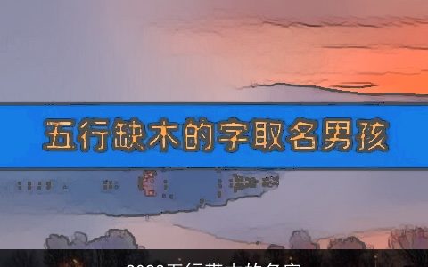 2024五行带木的名字