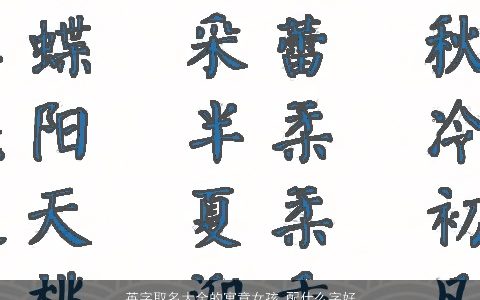 英字取名大全的寓意女孩 配什么字好 2023好听寓意的女孩名字大全筛选