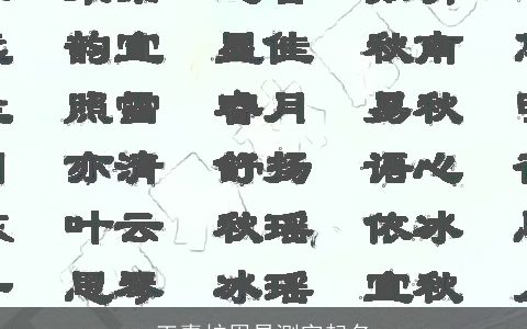 王嘉柠周易测字起名