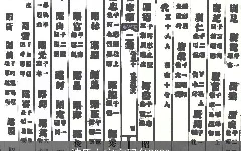 沈氏女宝宝取名2024