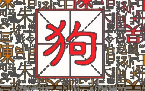 现存最稀有的四大姓氏太少见了