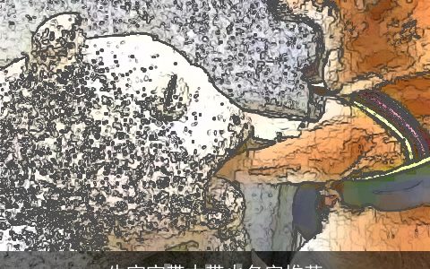 龙宝宝带木带火名字推荐