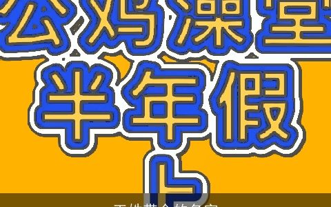 王姓带金的名字