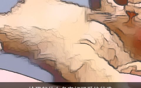 给猫起什么名字好可爱的优选