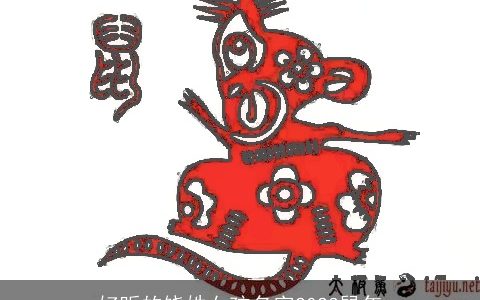 好听的饶姓女孩名字2024龙年