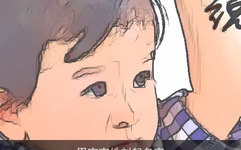 男宝宝姓刘起名字