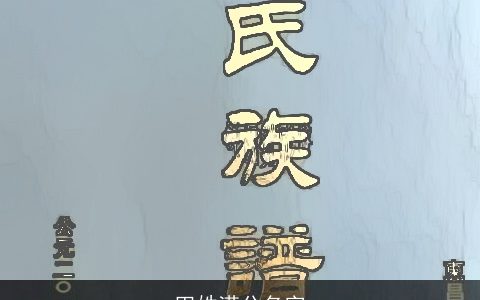 田姓满分名字