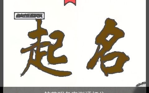 竺芯玥名字测评打分