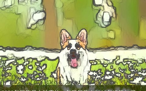 2023年属狗最大转变的一年吗属狗人2023年运势如何_1_