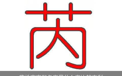 芮姓宝宝起名字用什么字比较吉利