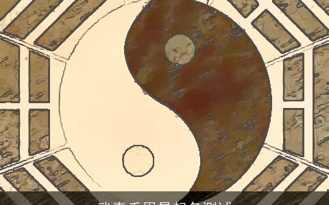 武嘉禾周易起名测试