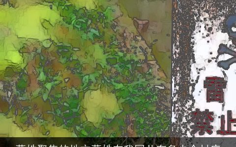 葛姓聚集的地方葛姓在我国共有多少个村庄