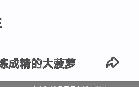 小女孩取名字怎么取姓薛的