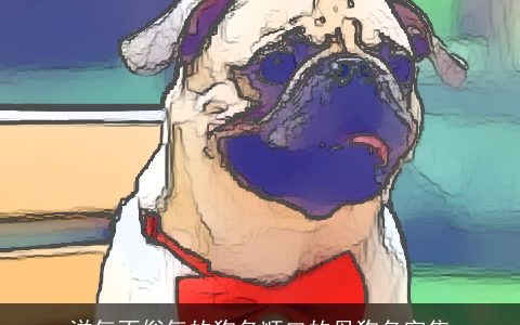 洋气不俗气的狗名顺口的母狗名字集