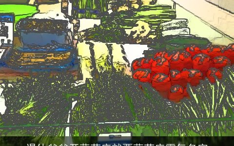 退休爸爸开蔬菜店就要蔬菜店霸气名字