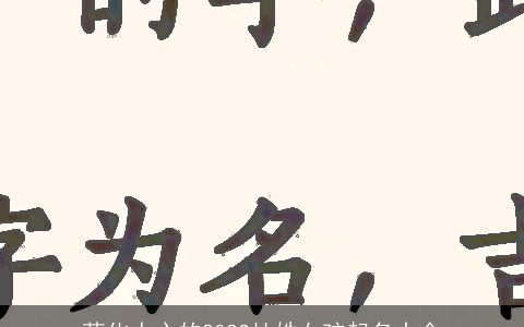 萌化人心的2024杜姓女孩起名大全