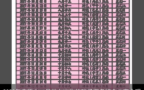 2023年农历十一月廿七出生的孩子取名结合八字命理