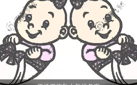 王姓双胞胎大气的名字