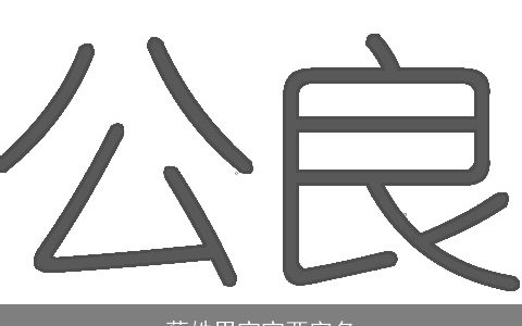 蔡姓男宝宝两字名