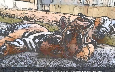 虎女宝宝取名大全2023款诗意好听名字