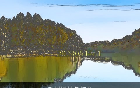 毛媛媛姓名打分