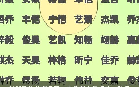 2023新生儿取名字大全免费大气点的小孩名