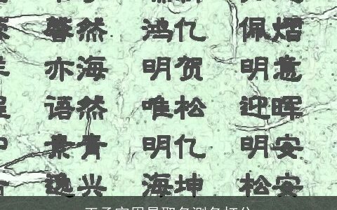 王承宇周易取名测名打分