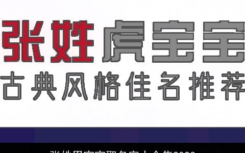 张姓男宝宝取名字大全集2024
