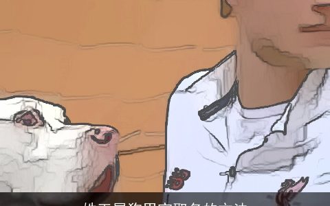 姓王属狗男宝取名的方法