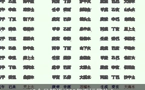 12个月解析1999年五行属什么