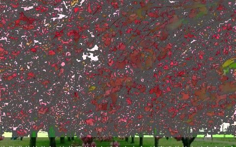 生僻唯美的花名 比花还美的女孩名字大全 诗意唯美的女孩名字大全