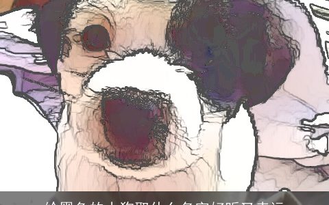 给黑色的小狗取什么名字好听又幸运