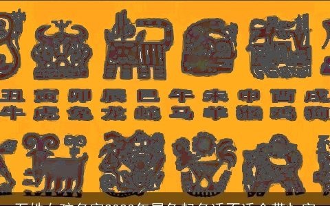 石姓女孩名字2023年属兔起名适不适合带忄字