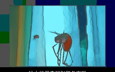 缺木能用李羽彤取名字吗