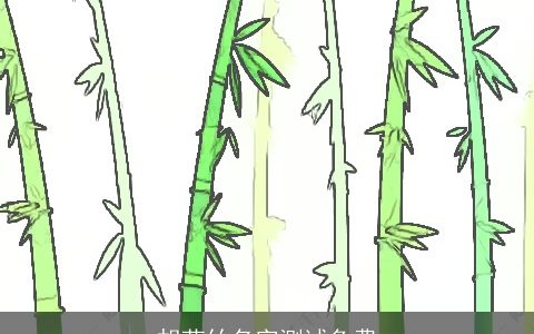 胡莳竹名字测试免费